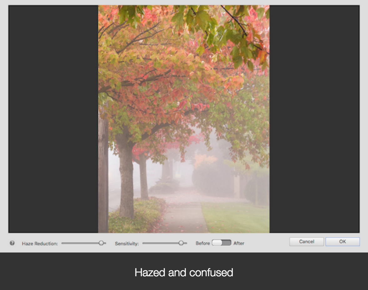 photoshop elements vs photoshop cc
