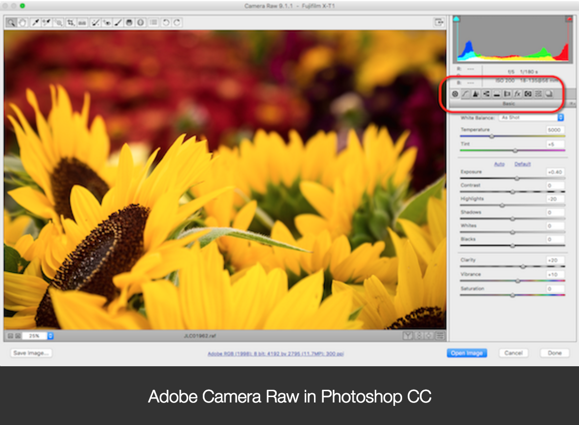 photoshop elements vs photoshop cc
