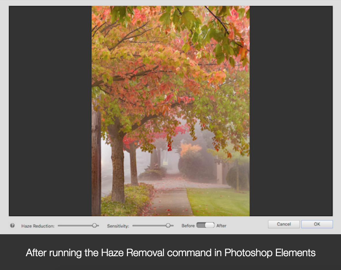 photoshop elements vs photoshop cc