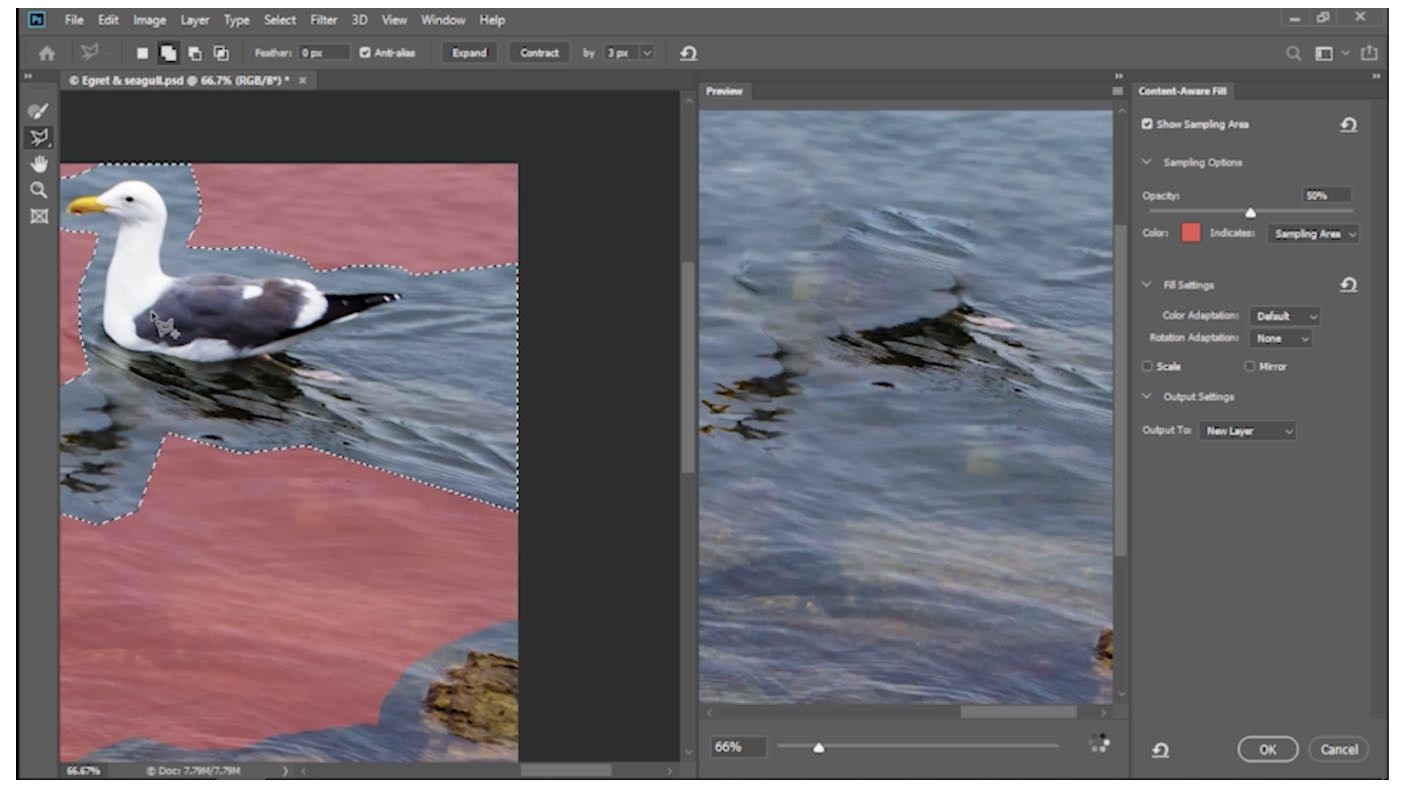 new features of photoshop cc 2019