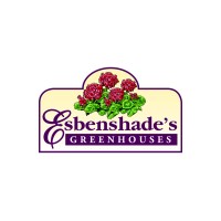 Esbenshade 39 S Greenhouses Inc Linkedin