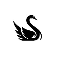 Mål Lada Medicin Black Swan Productions | LinkedIn