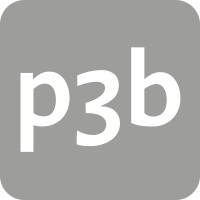 p3b ag | LinkedIn