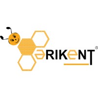 Arikent Linkedin