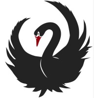 Metafor Fjord tolv Black Swans Exist | LinkedIn