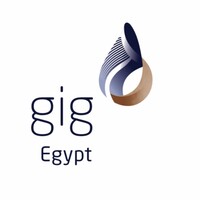 Best insurance companies in Egypt