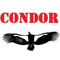 Condor HN2436A Industrial Control System for sale online 