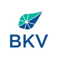 BKV Corporation | LinkedIn