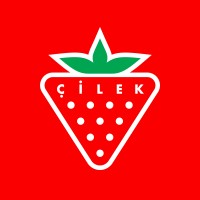 cilek linkedin