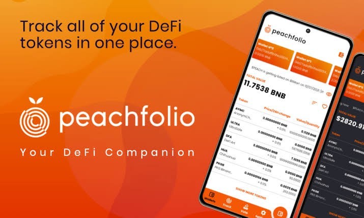 Review and Overview of Peachfolio Platform