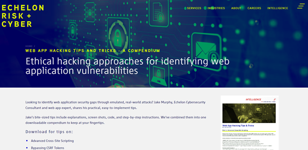 Ethical hacking approaches for identifying web application vulnerabilities