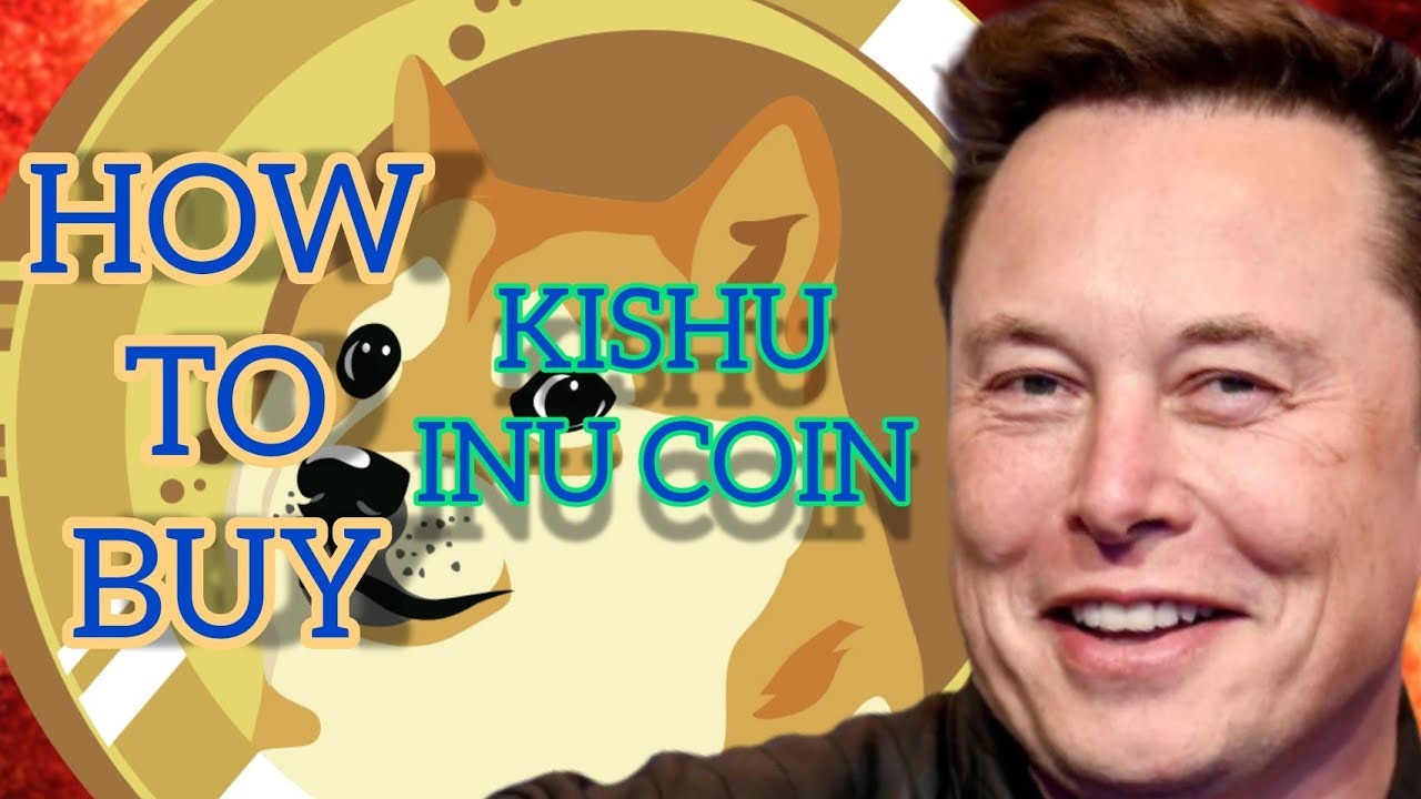 How to Buy Kishu Inu and How this Coin is taking over the Cryptocurrency Market