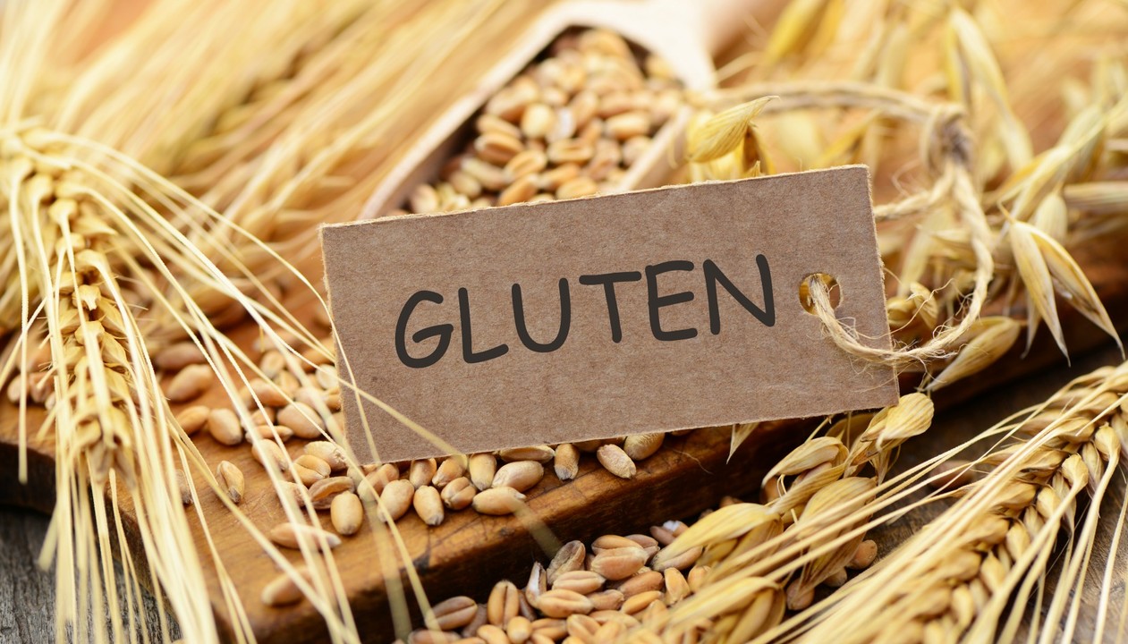 Basics of Gluten Development Basics of Gluten Development