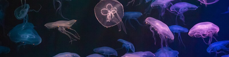Sex Kalyan have underwater in Hire Underwater