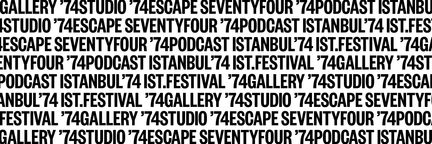 Istanbul 74 Arts Culture Platform Linkedin