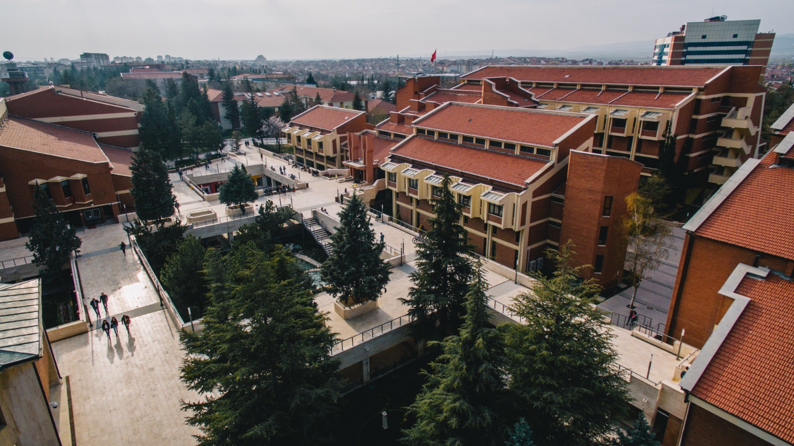 anadolu universitesi linkedin
