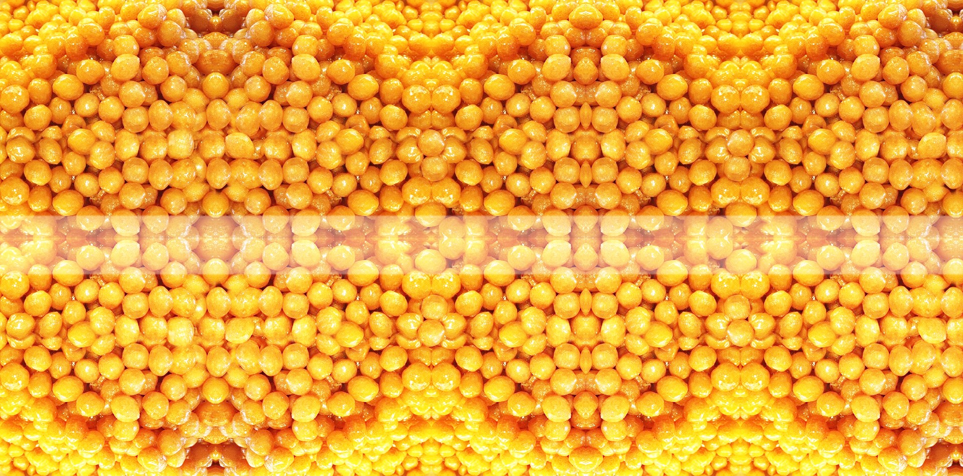 Damla Izmir Lokmaci Linkedin