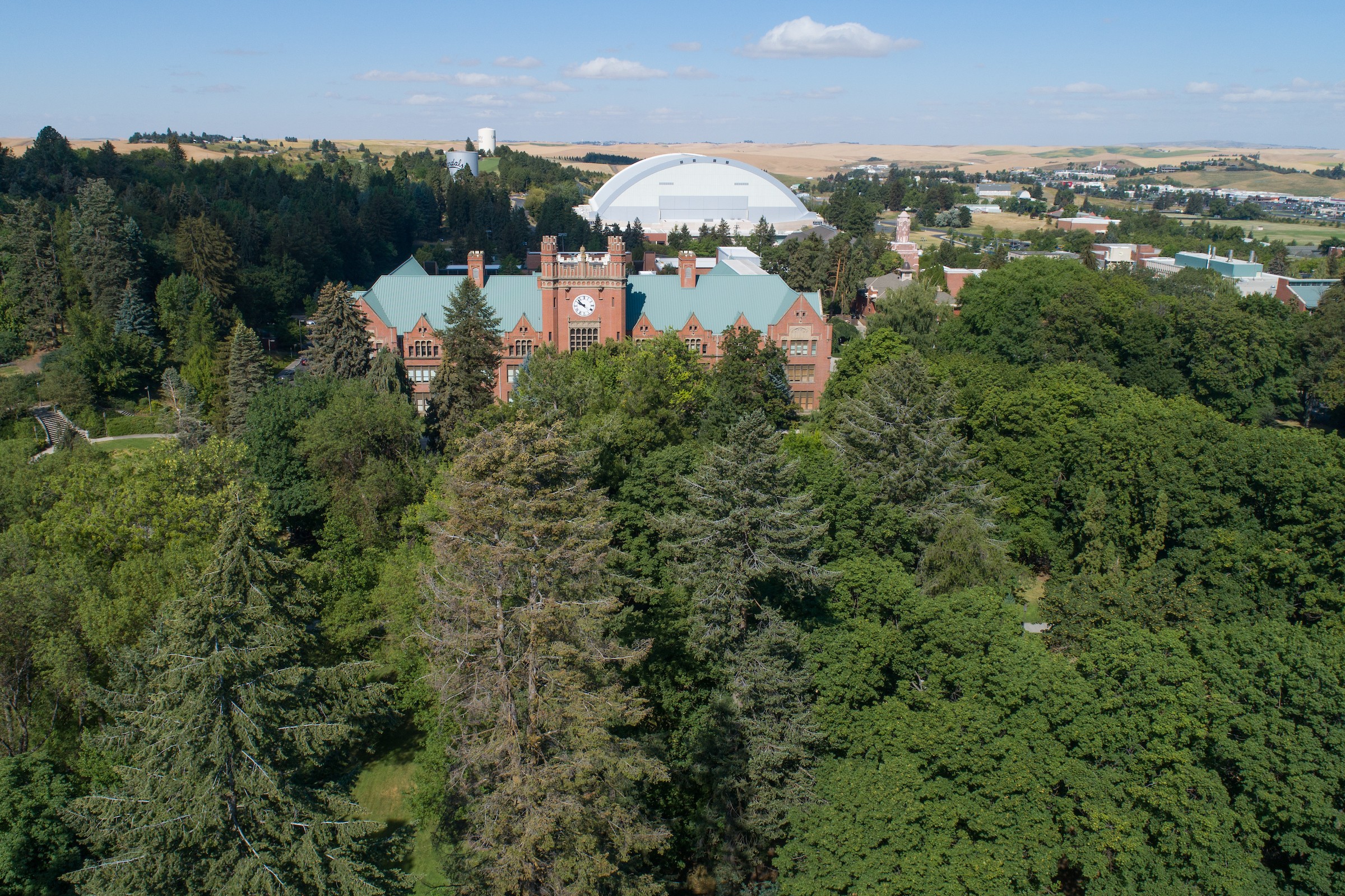 University Of Idaho Linkedin