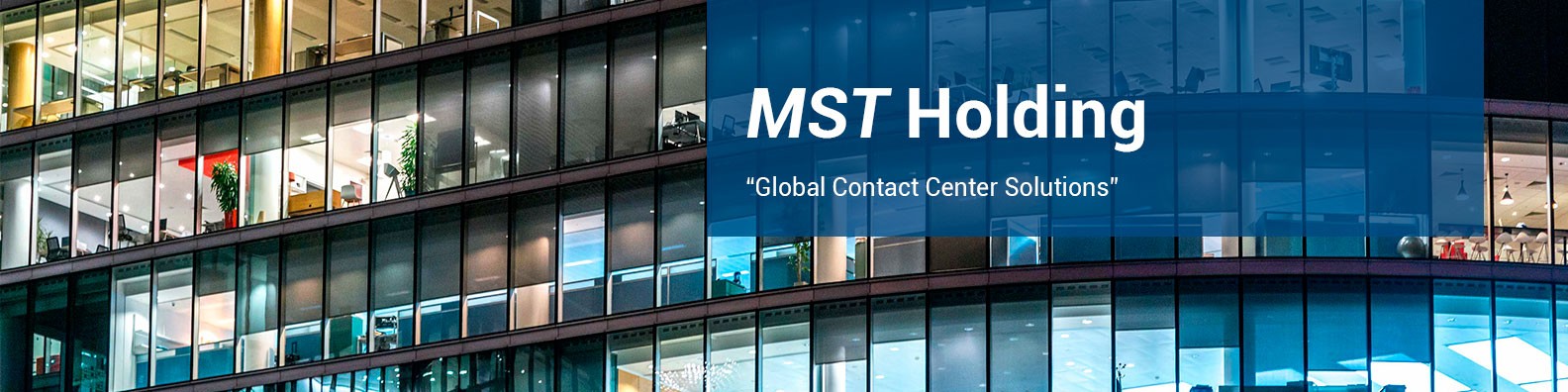 Mst Holding Linkedin