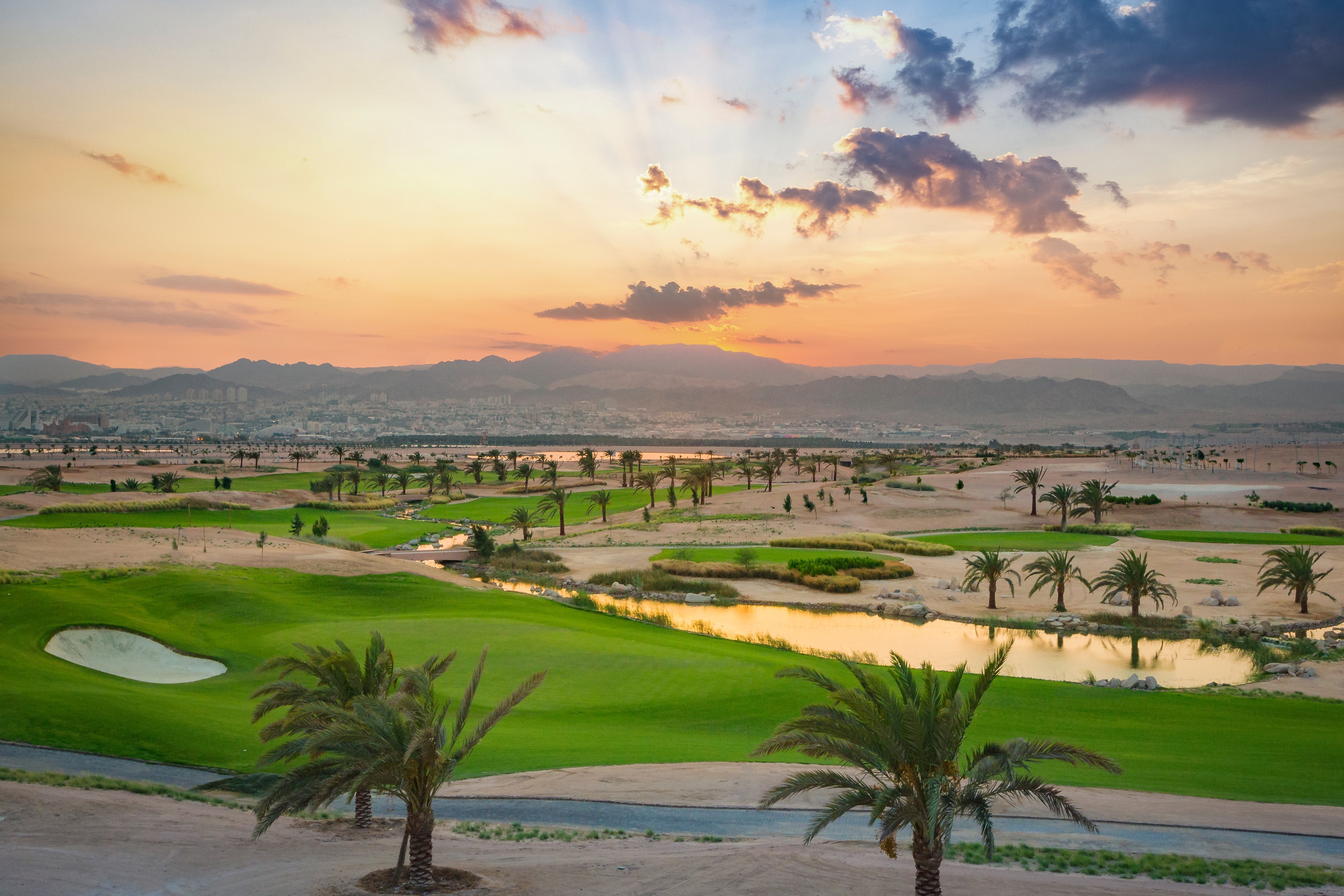 ayla oasis development company linkedin