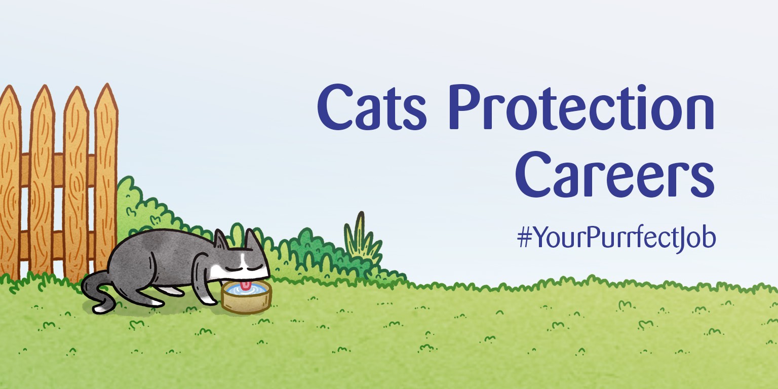 Cats Protection Employees Location Careers Linkedin