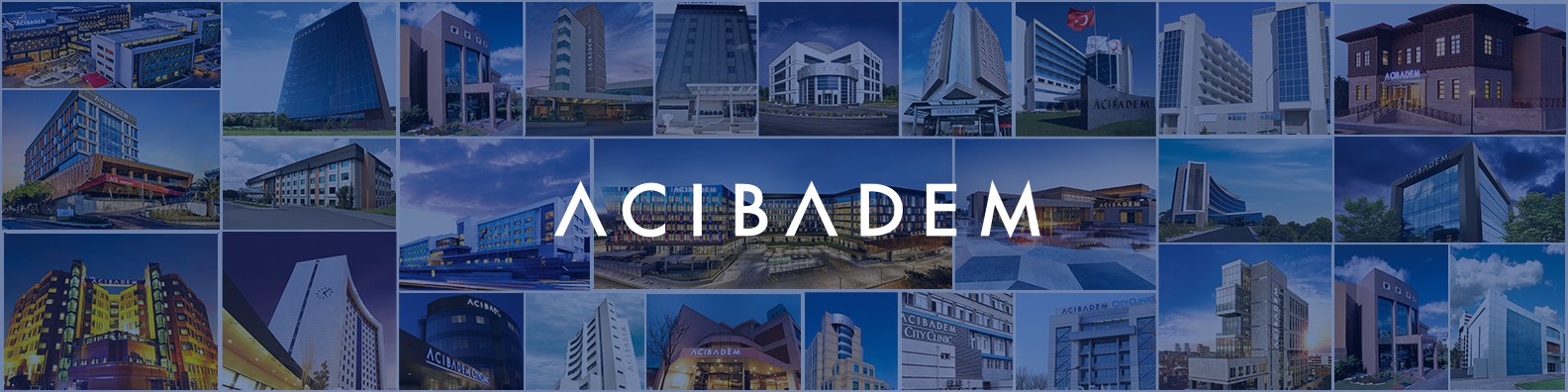 acibadem healthcare group linkedin