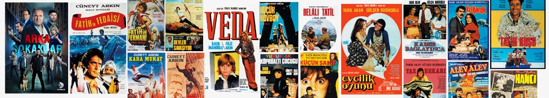 erler film a s 领英