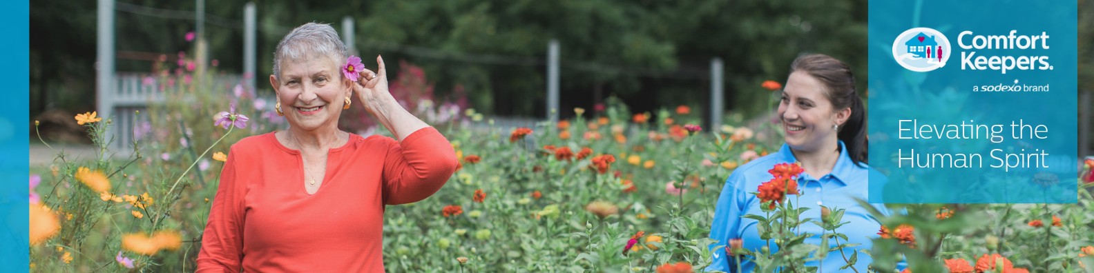 Comfort Keepers Ireland Linkedin