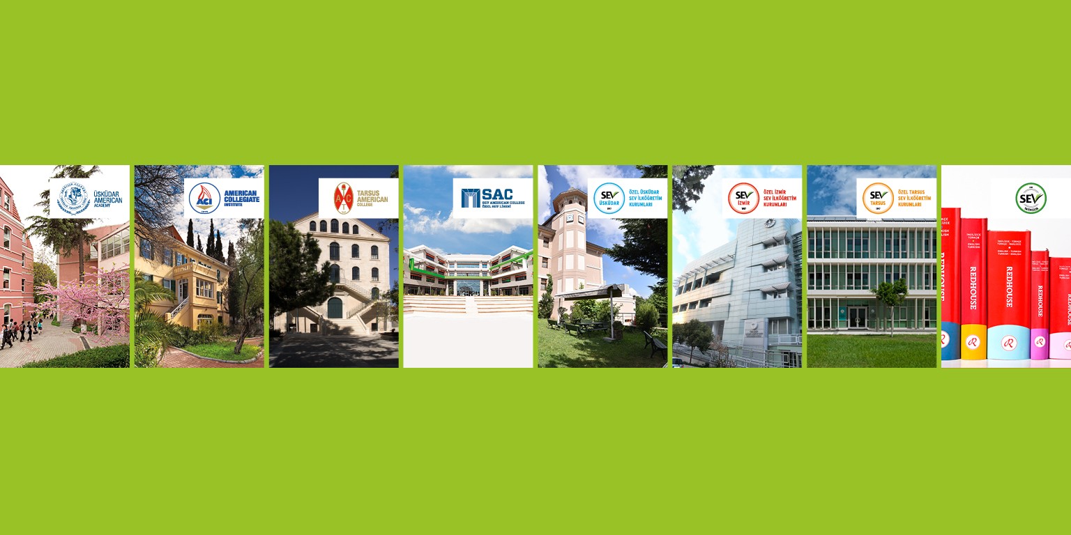 Sev Health And Education Foundation Is Ilani Linkedin