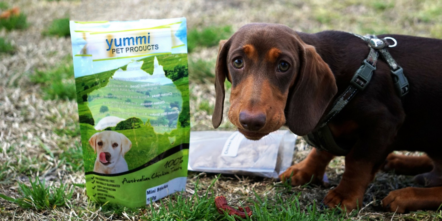 Yummi Pet Products | LinkedIn