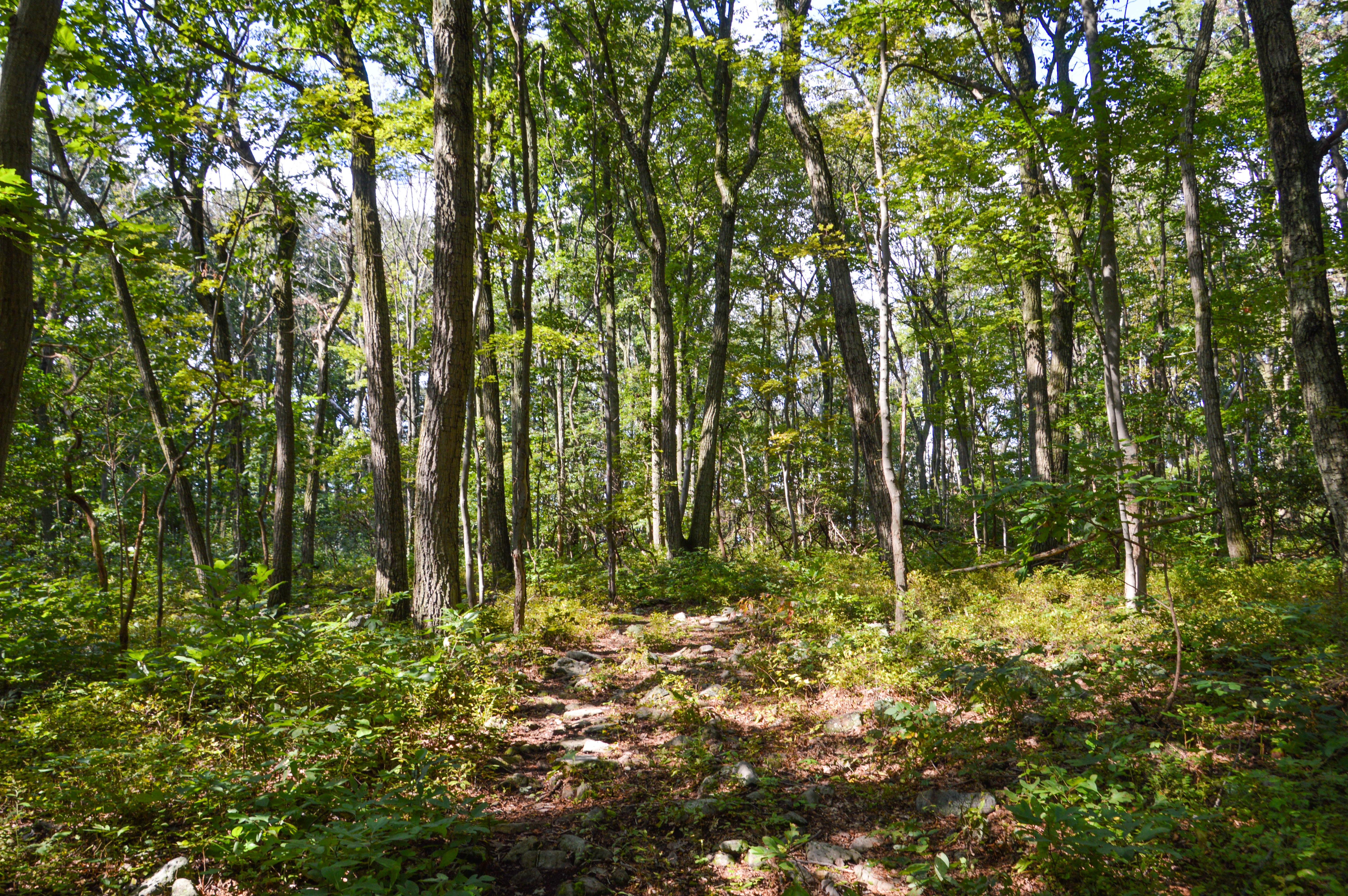 Lancaster County Conservancy Linkedin
