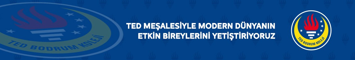 Ted Bodrum Koleji Linkedin