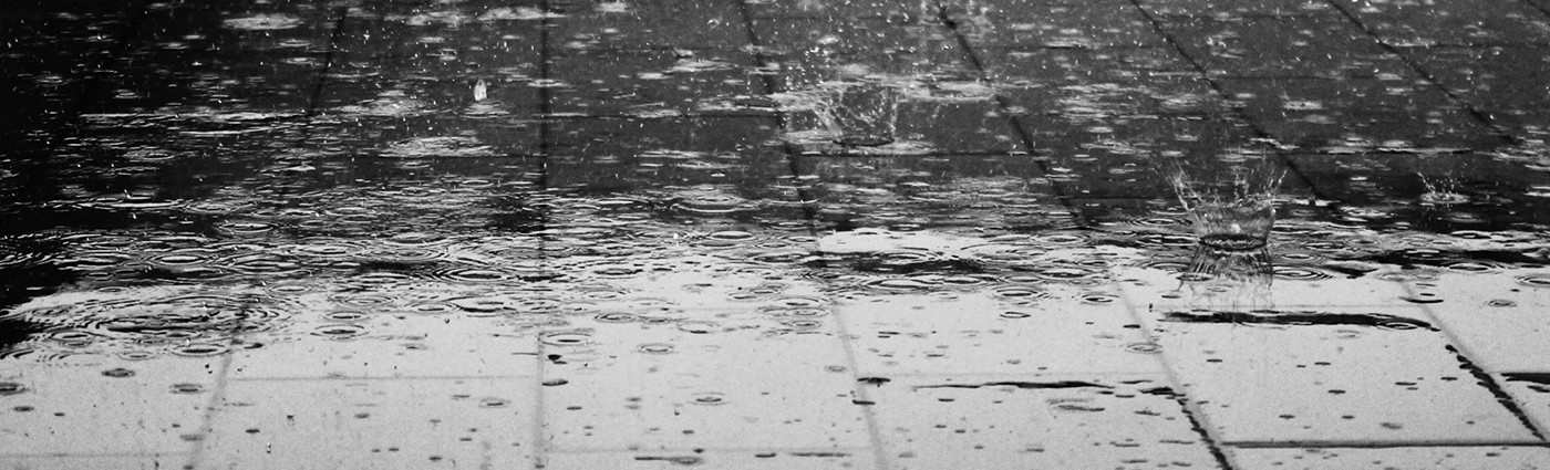 Senox Corporation Linkedin