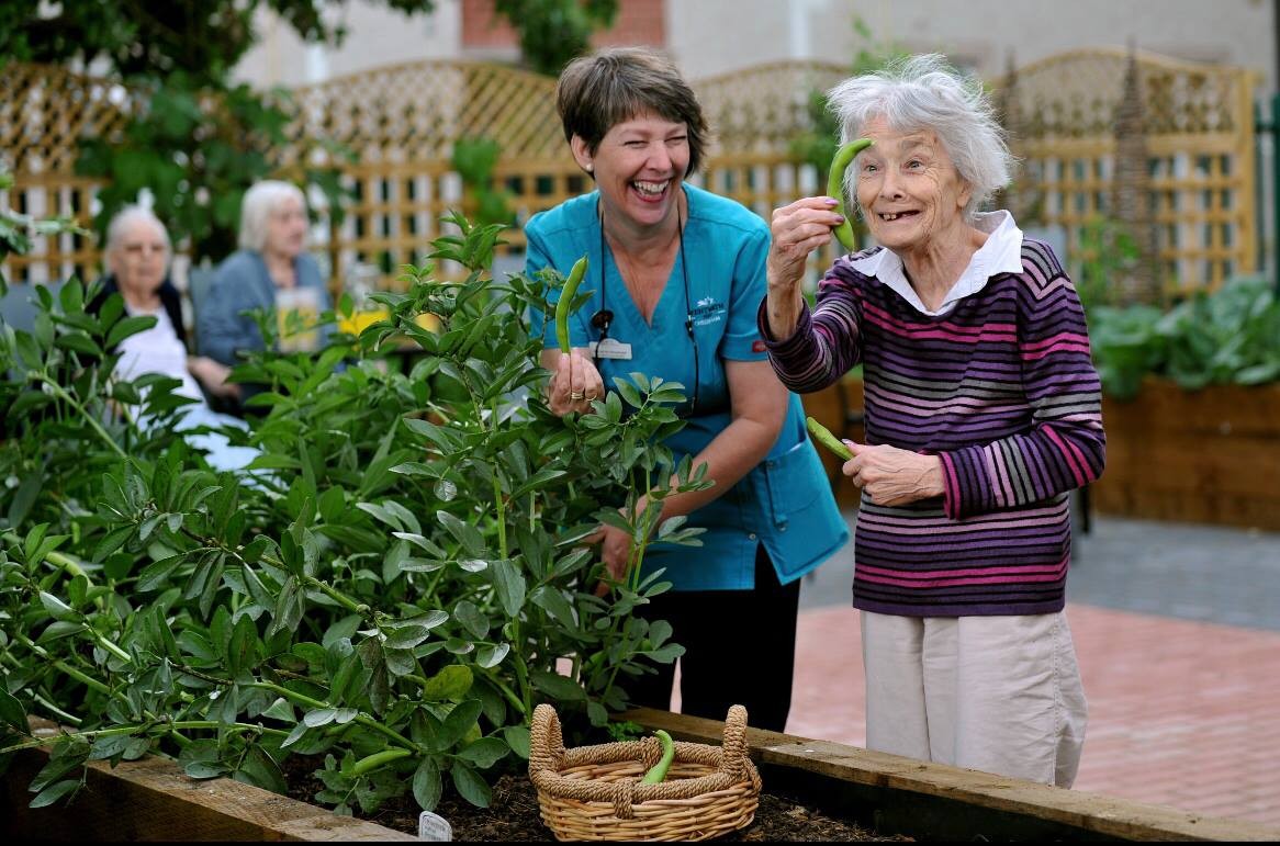 Wentworth Court Nursing Home Linkedin