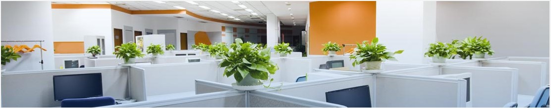 Ace Info Solutions Llc Linkedin