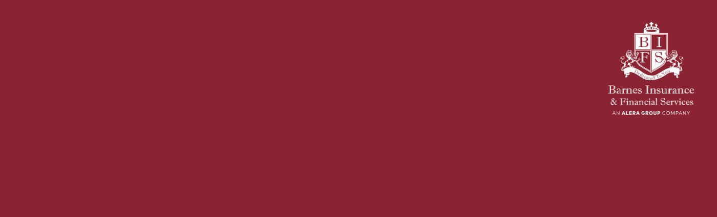 Barnes Insurance Financial Services An Alera Group Company