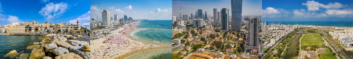 Tel Aviv Global Linkedin