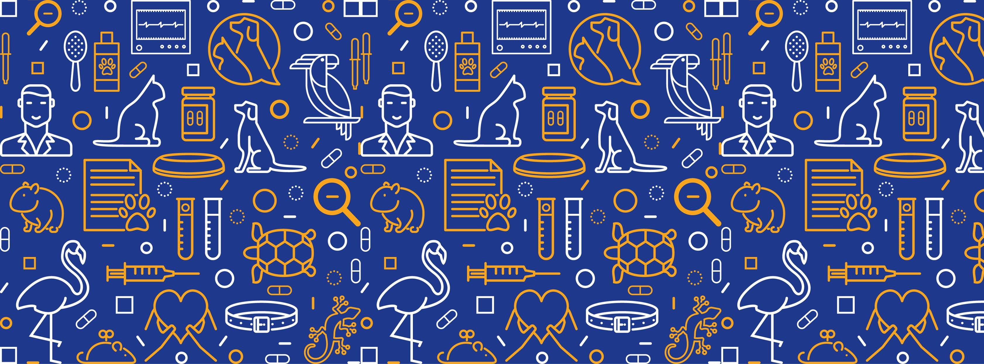 Istanbul Hayvan Hastanesi Linkedin