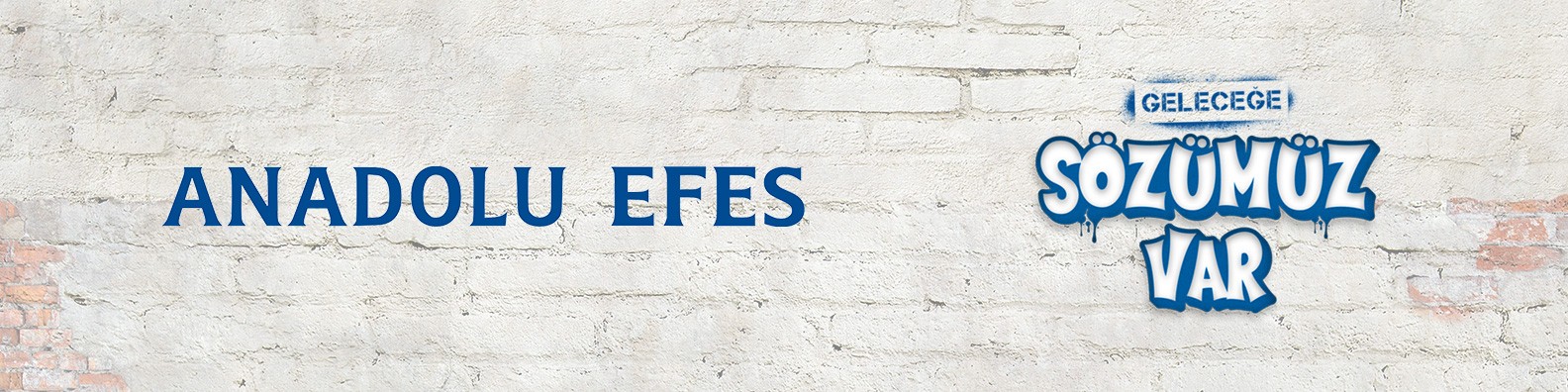 Anadolu Efes Is Ilani Linkedin