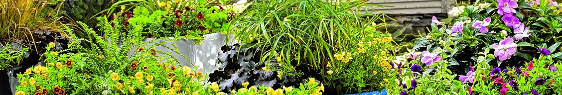 Gardener 39 S Supply Company 领英