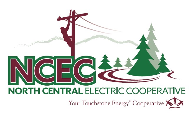 North Central Electric Cooperative Linkedin