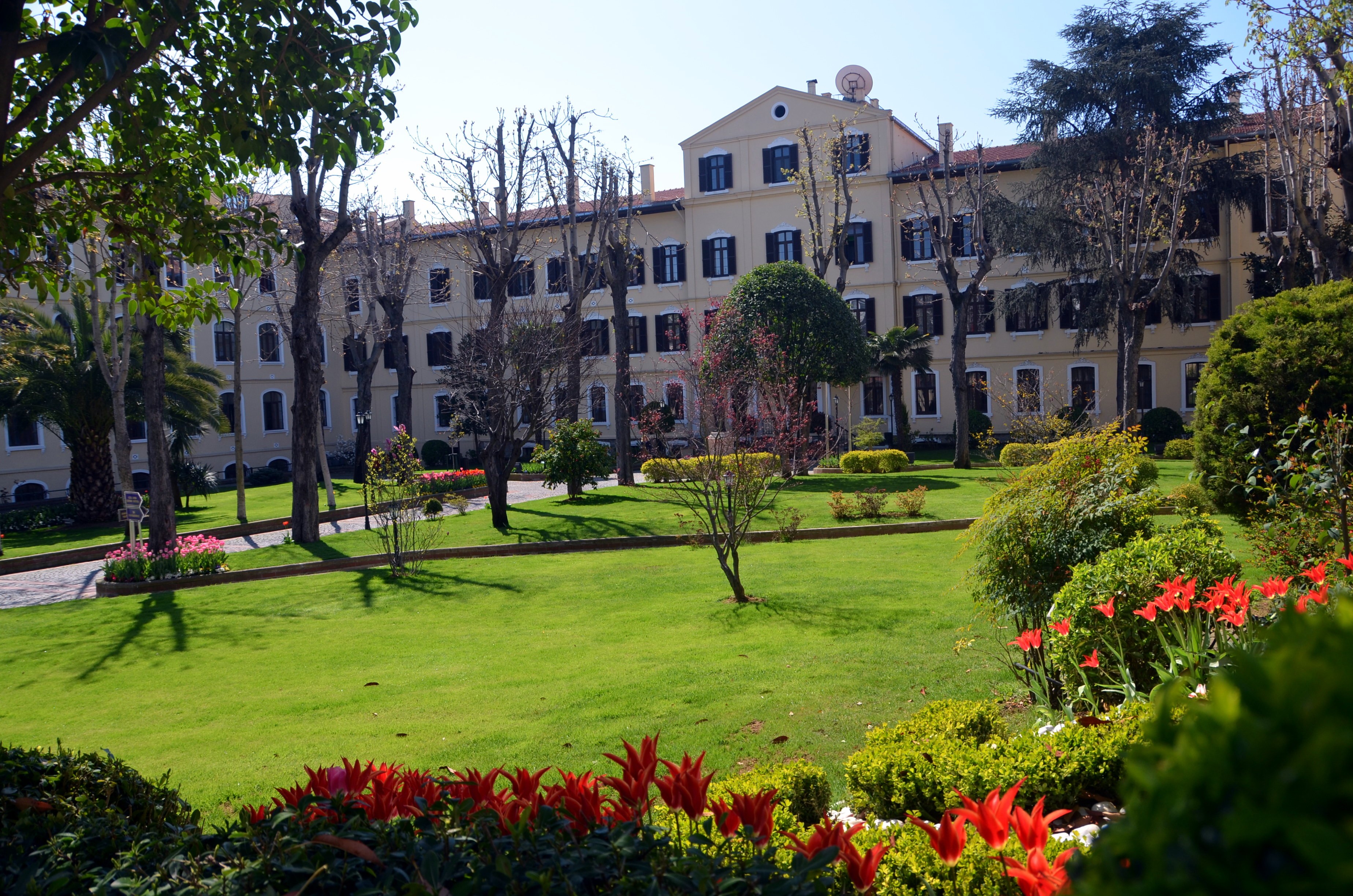 Saint Joseph Liler Dernegi Linkedin