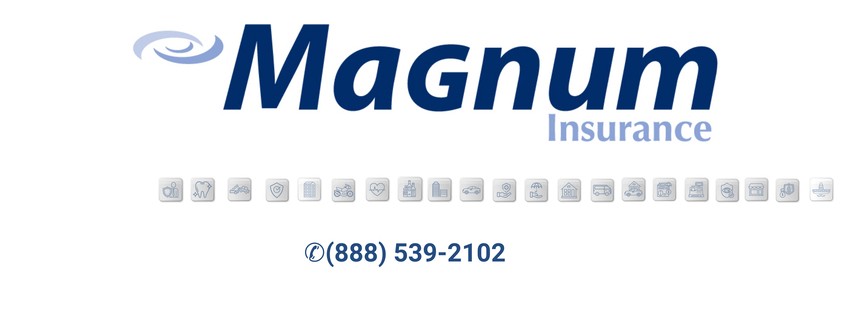 Magnum Insurance Agency Inc | LinkedIn