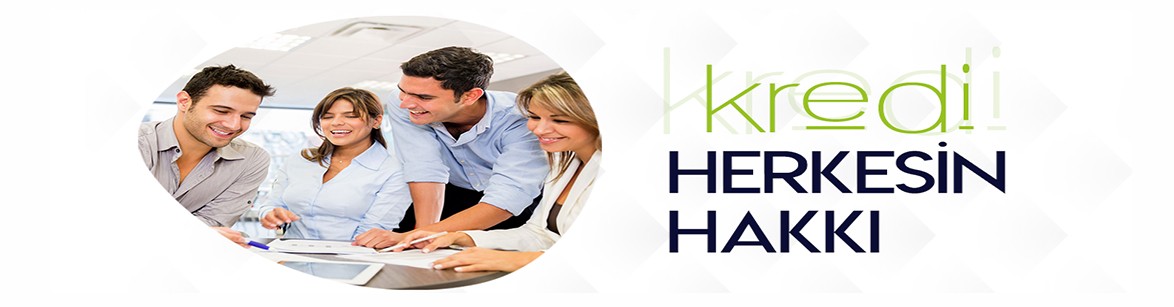 Interaktif Kredi Linkedin