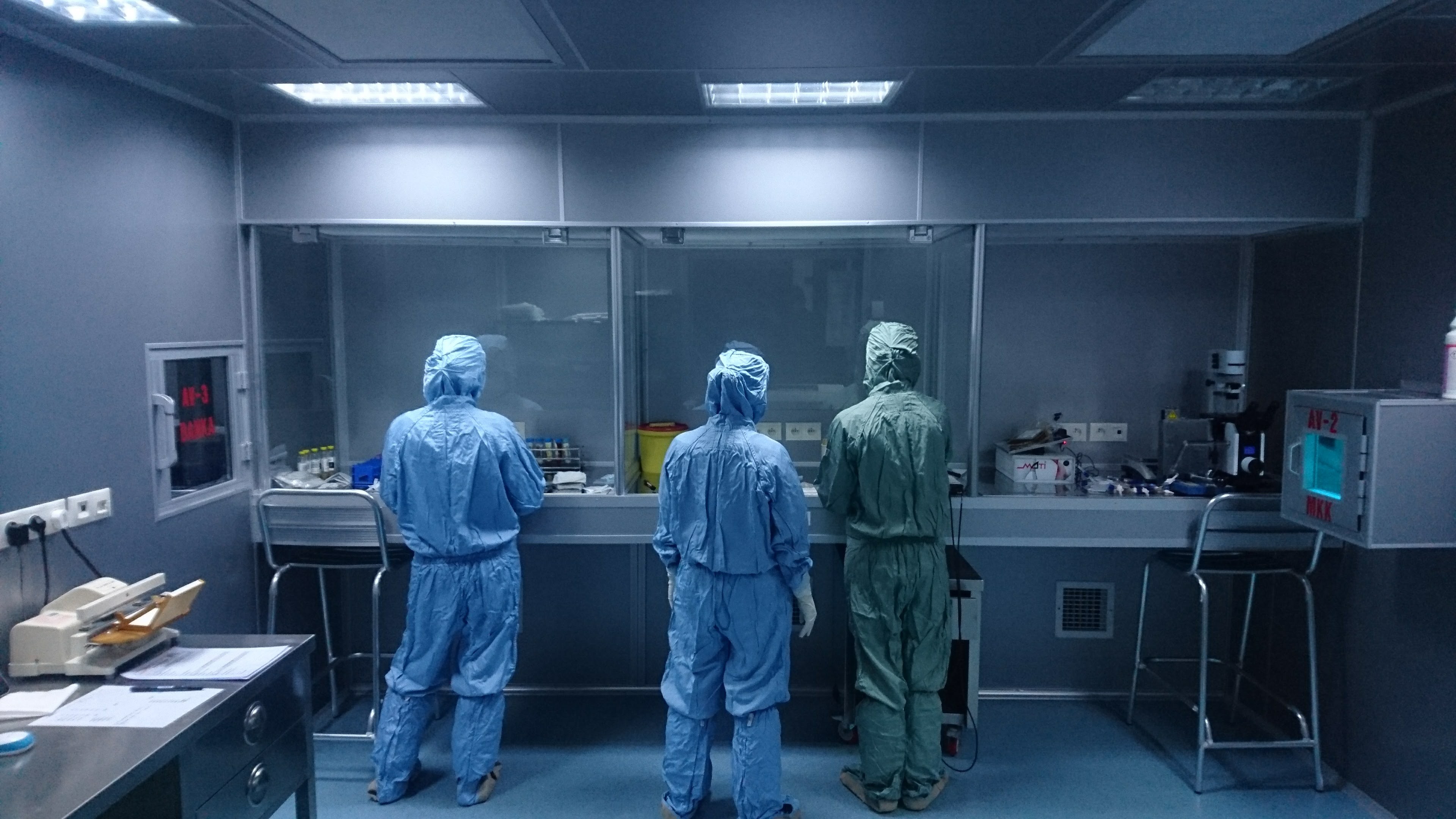 Babylife Kordon Kani Bankasi Linkedin