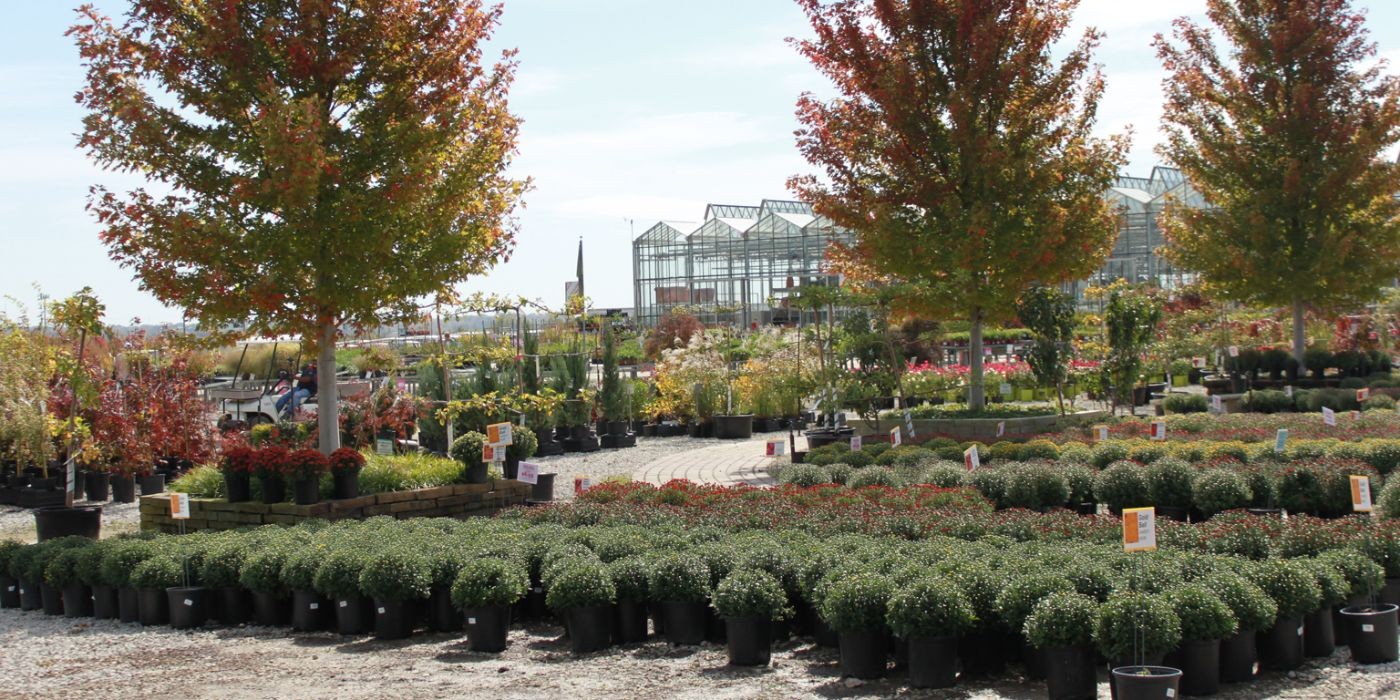 Suburban Lawn Garden Inc Linkedin