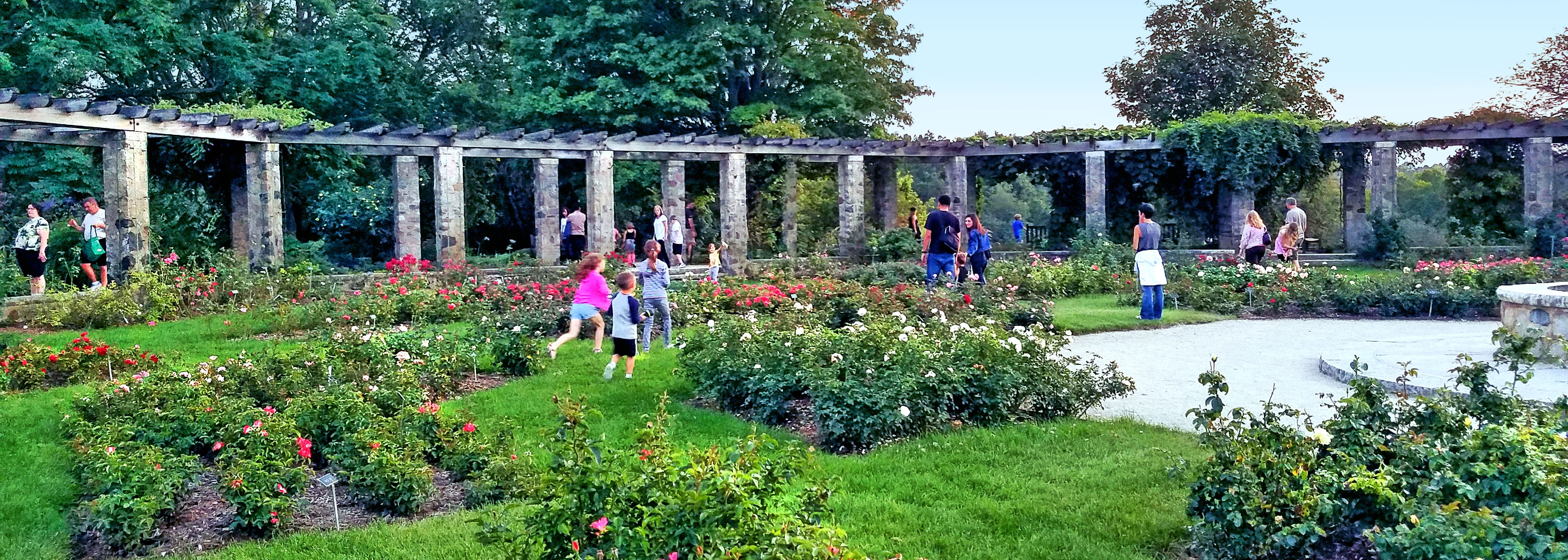 Friends Of Boerner Botanical Gardens Linkedin