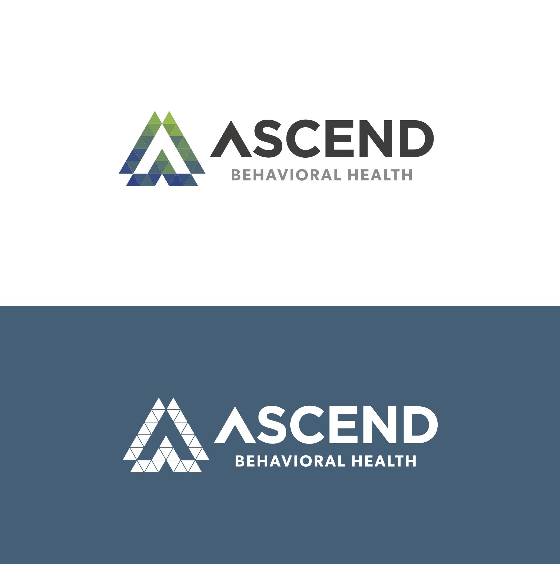 Ascend Behavioral Health Linkedin
