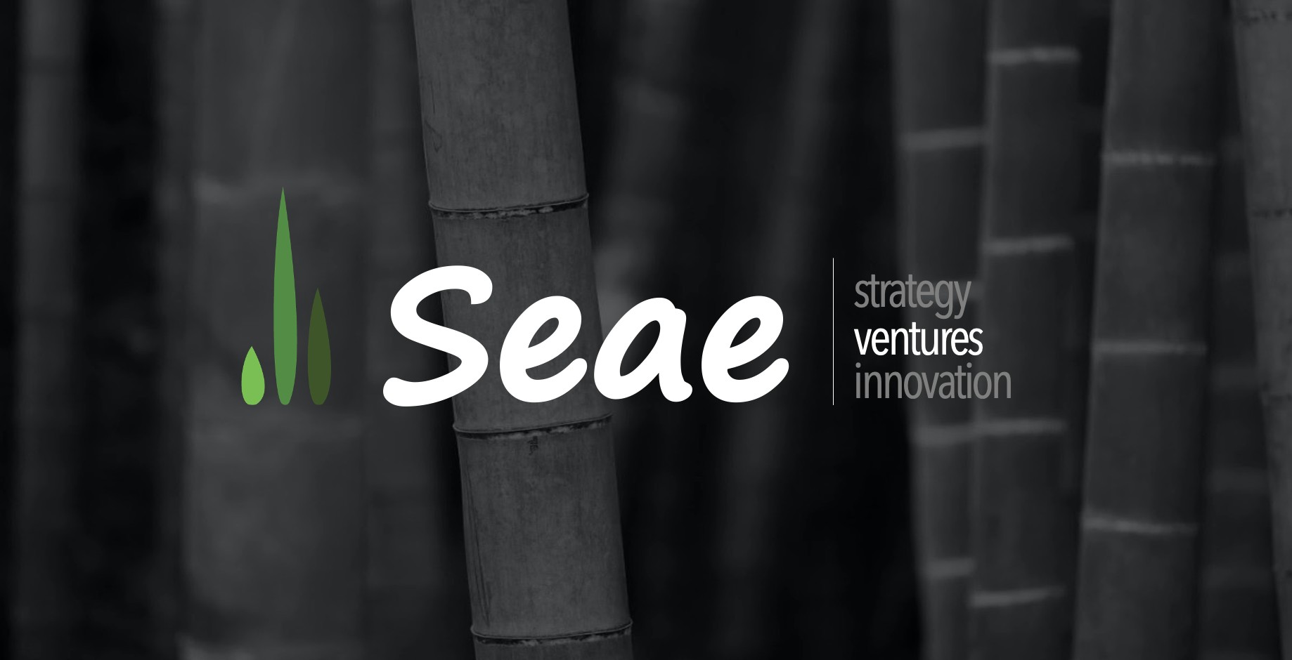 seae-ventures-linkedin