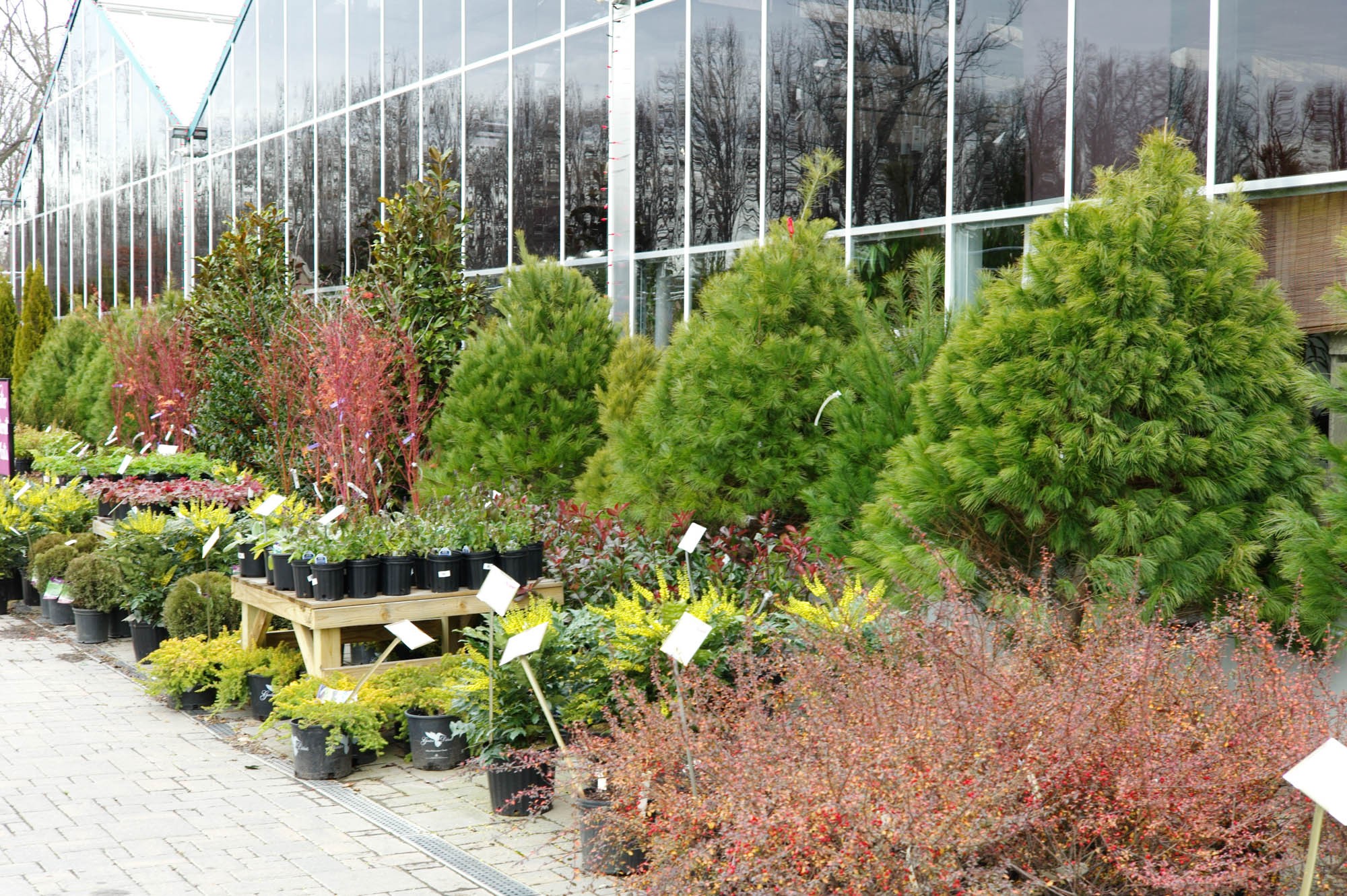 Patuxent Nursery Linkedin